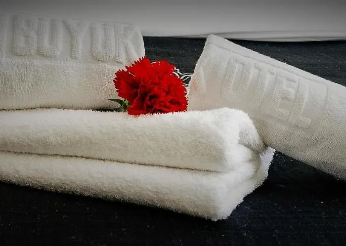 Buyuk إسكيشير