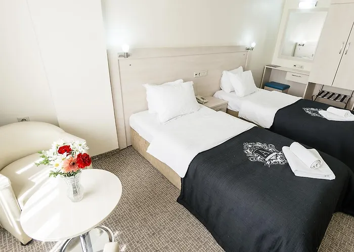 Buyuk 3* إسكيشير